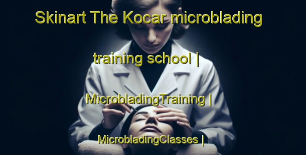 Skinart The Kocar microblading training school | MicrobladingTraining | MicrobladingClasses | SkinartTraining-Turkey